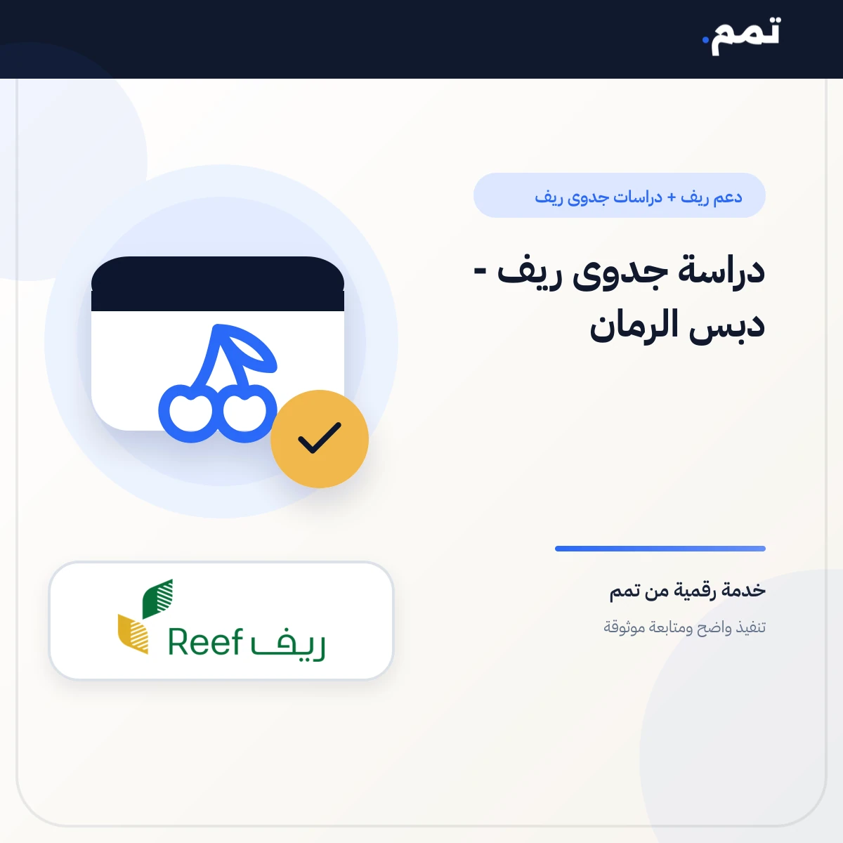 دراسة جدوى ريف - دبس الرمان