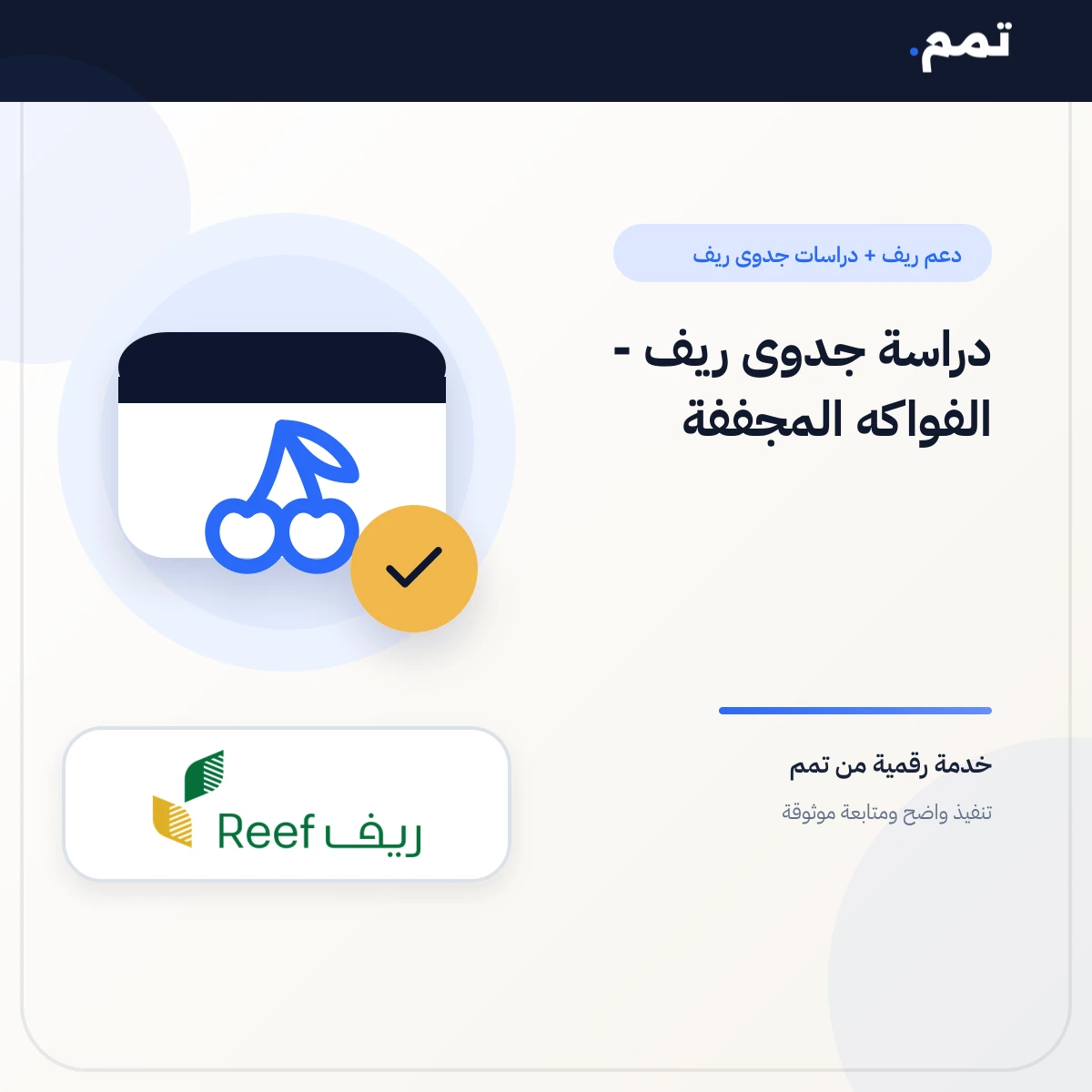 دراسة جدوى ريف - الفواكه المجففة